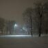 Snowy landscape at night with a streetlamp illuminating a path, evoking a mysterious atmosphere suitable for winter ghost tours.