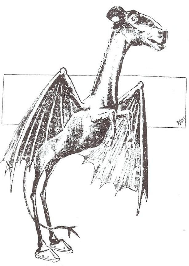Vintage illustration of the Jersey Devil with wings and cloven hooves, Leeds family folklore.