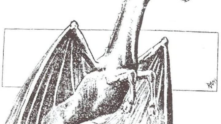 Vintage illustration of the Jersey Devil with large wings and a demonic form.